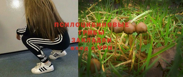 MESCALINE Строитель