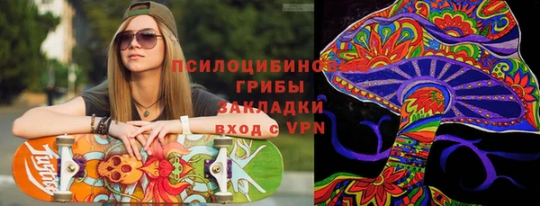 стафф Дмитровск